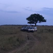 Sunfun Safaris Tour Vans