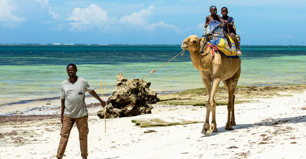 camel-ride-diana-beach-mombasa-kenya