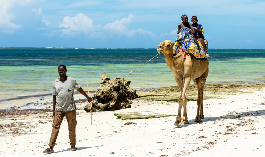06 Days Safari Package from Mombasa