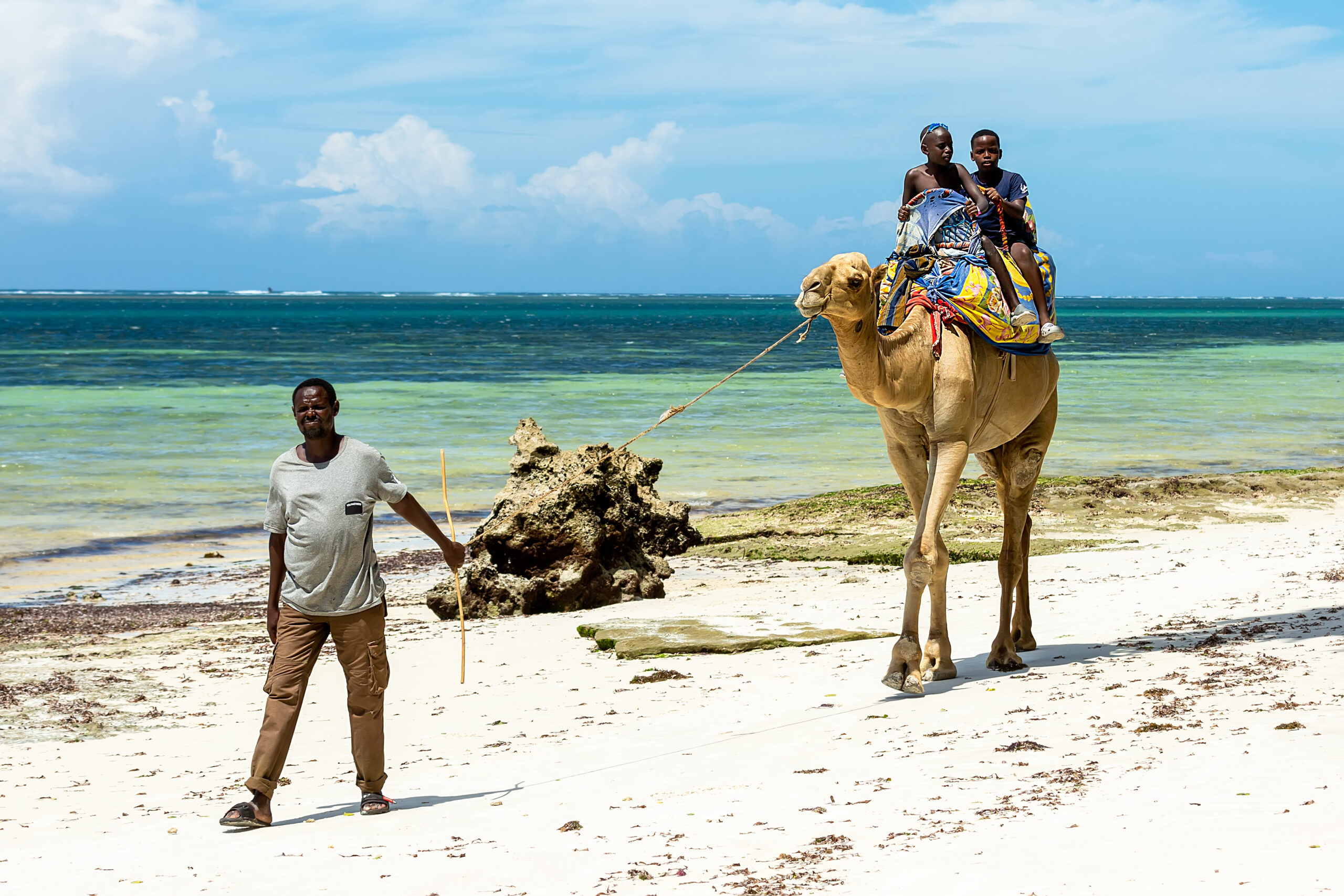 camel-ride-diana-beach-mombasa-kenya